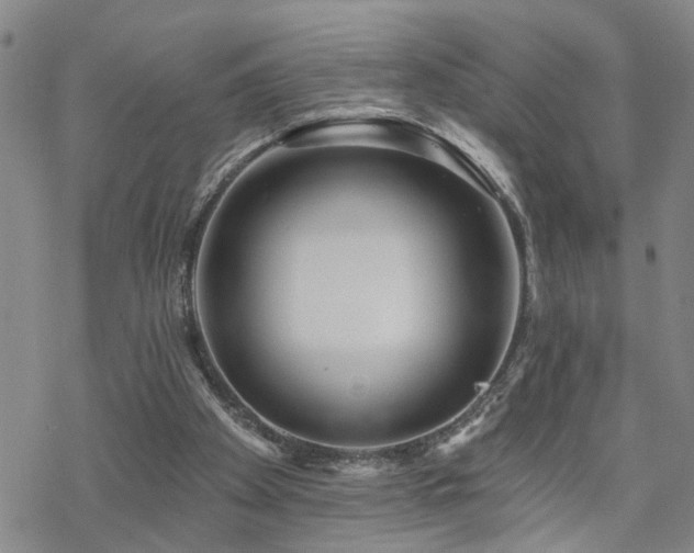 X0000070360105200606091041