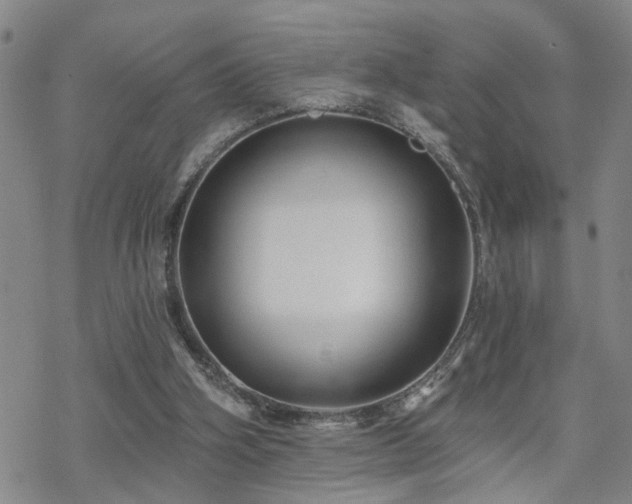 X0000070360106200606091041