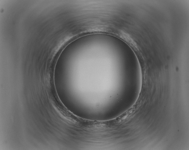 X0000070360108200606091041