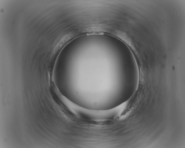 X0000070360109200606091041