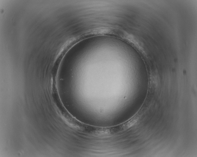 X0000070360110200606091041