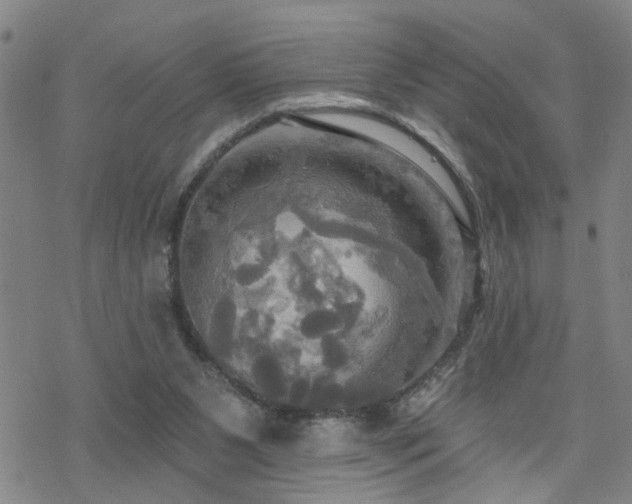 X0000070360111200606091041