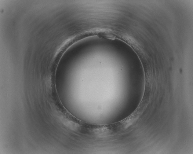 X0000070360112200606091041