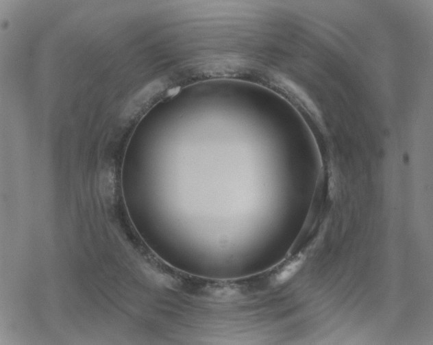 X0000070360113200606091041