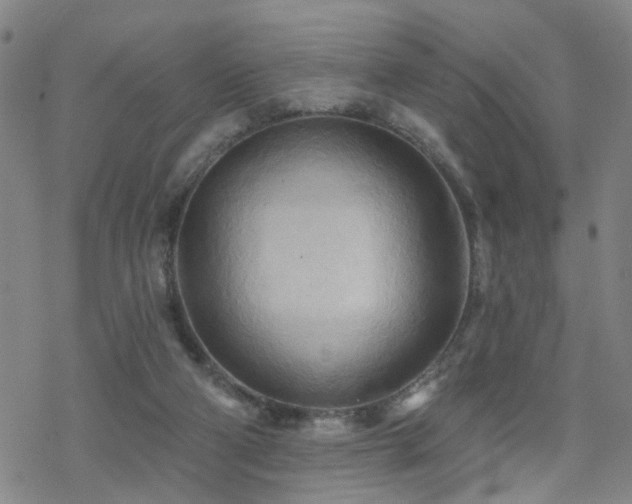 X0000070360114200606091041