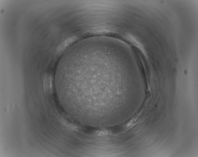 X0000070360115200606091041