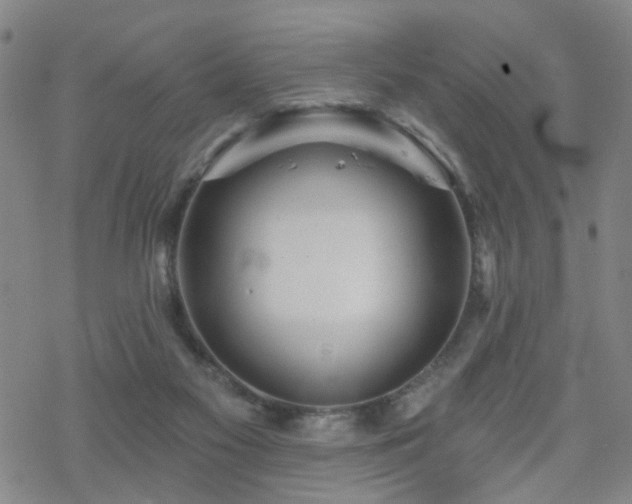 X0000070360117200606091041