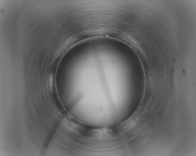 X0000070360118200606091041