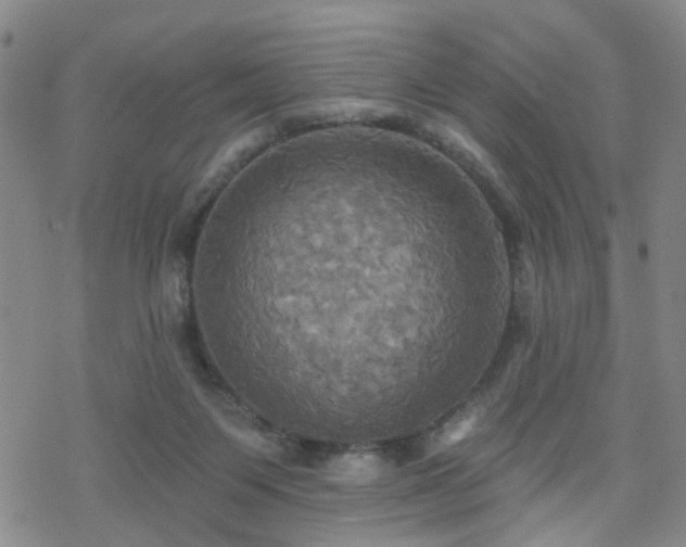 X0000070360119200606091041