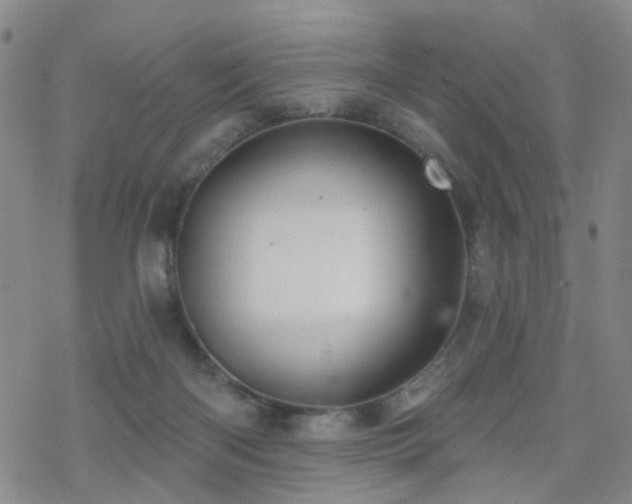 X0000070360122200606091041