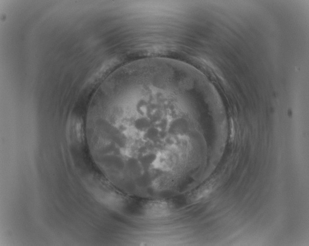 X0000070360123200606091041