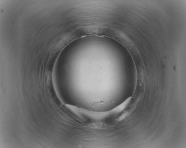 X0000070360125200606091041