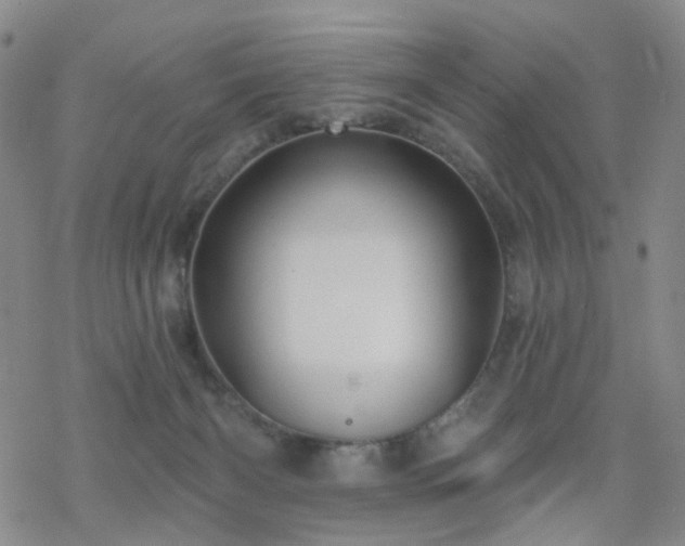 X0000070360126200606091041