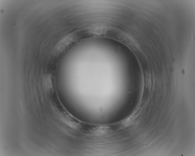 X0000070360128200606091041