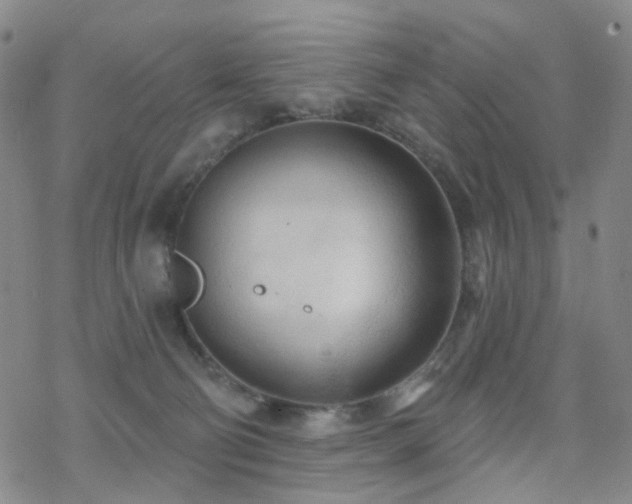 X0000070360130200606091041