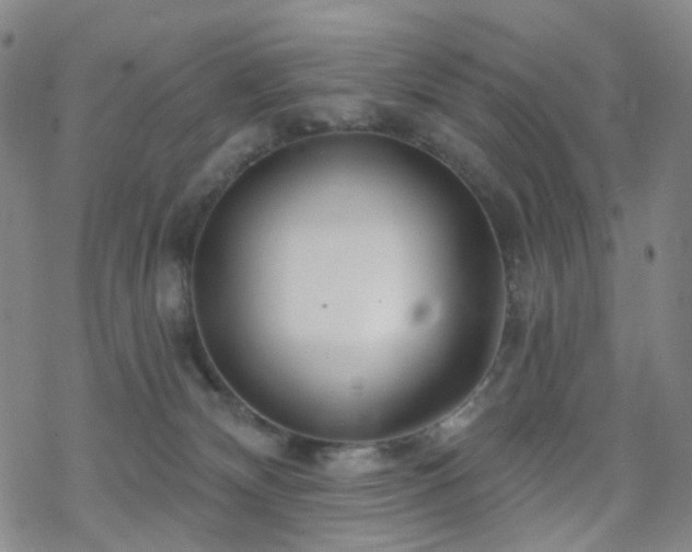 X0000070360132200606091041