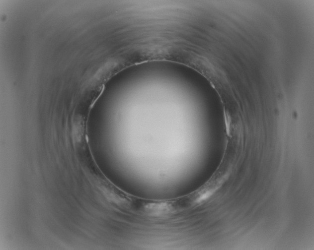 X0000070360133200606091041