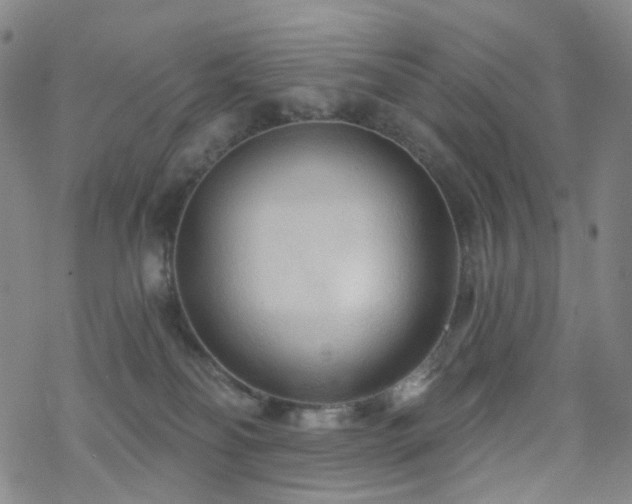 X0000070360134200606091041