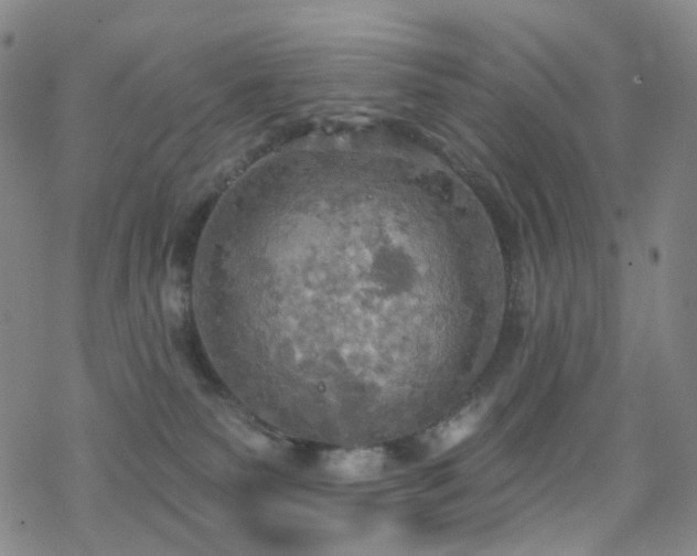 X0000070360135200606091041