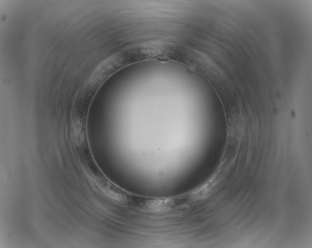 X0000070360136200606091041