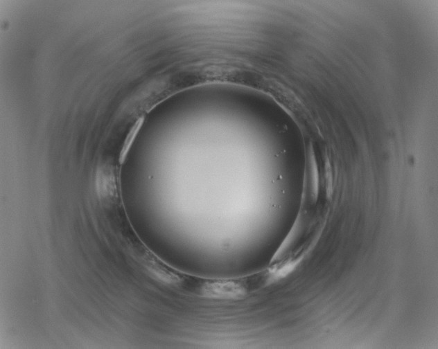 X0000070360137200606091041