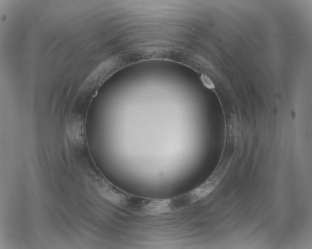 X0000070360138200606091041