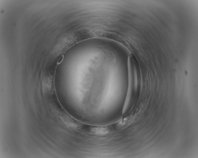 X0000070360139200606091041