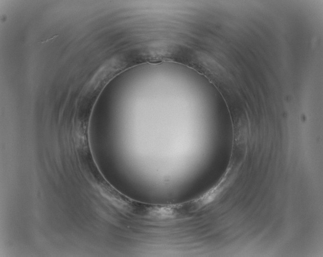 X0000070360140200606091041