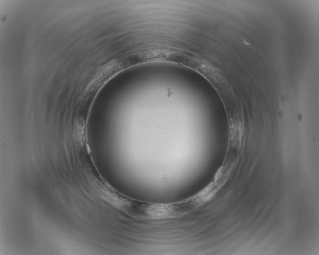 X0000070360142200606091041