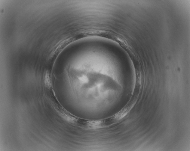 X0000070360143200606091041