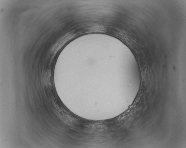 X0000070360146200606091040