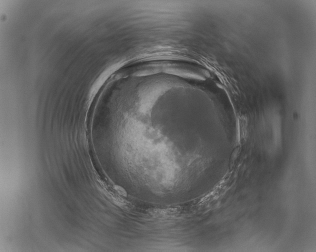 X0000070360147200606091040