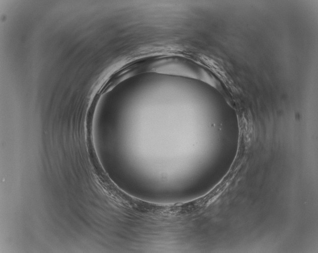 X0000070360148200606091040