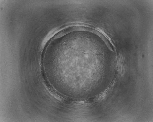 X0000070360151200606091040