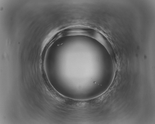 X0000070360152200606091040