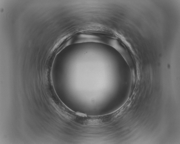 X0000070360154200606091040