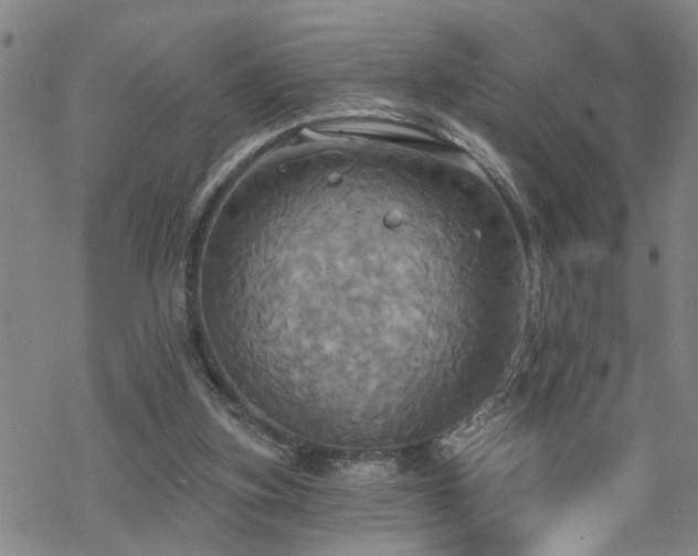 X0000070360155200606091040