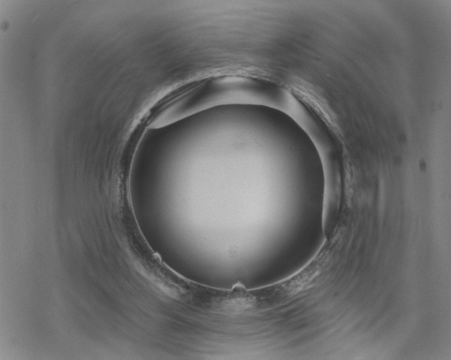 X0000070360156200606091040