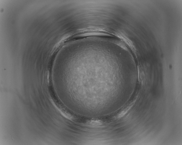 X0000070360157200606091040