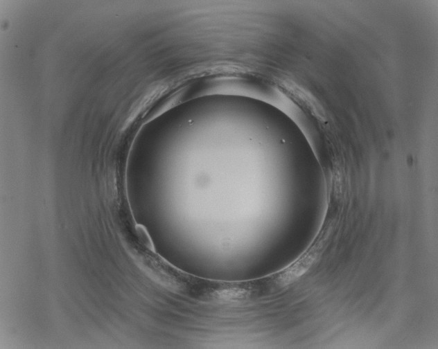 X0000070360158200606091040