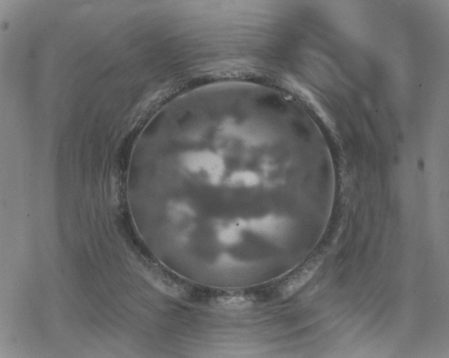 X0000070360161200606091040