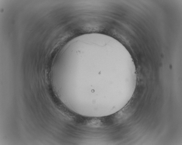 X0000070360162200606091040