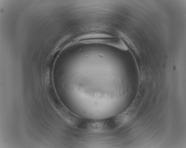 X0000070360163200606091040