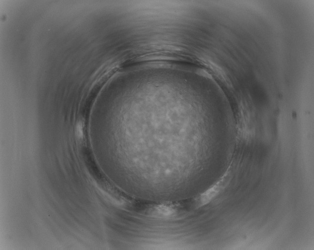 X0000070360166200606091040