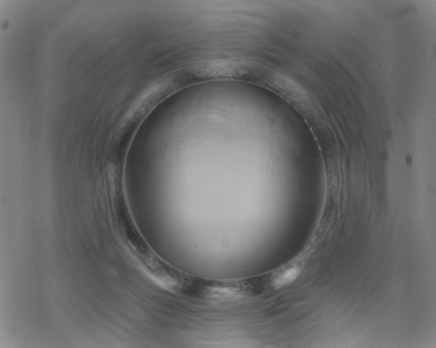 X0000070360167200606091040