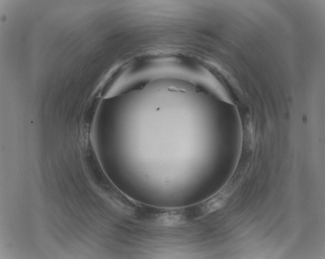 X0000070360168200606091040