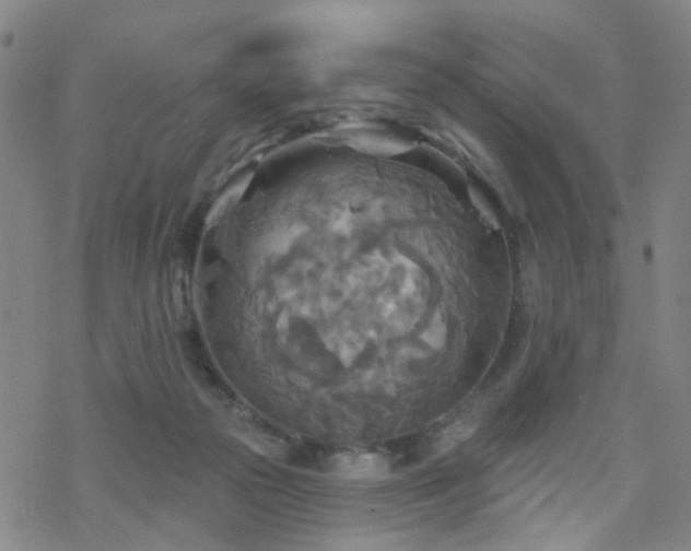 X0000070360169200606091040