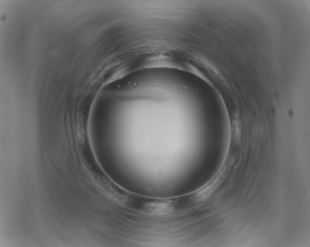 X0000070360170200606091040