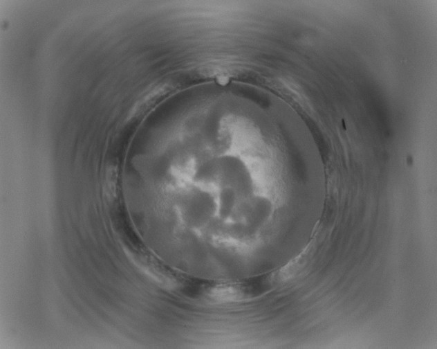 X0000070360171200606091040