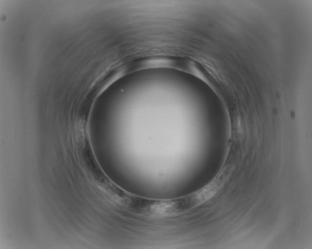 X0000070360172200606091040